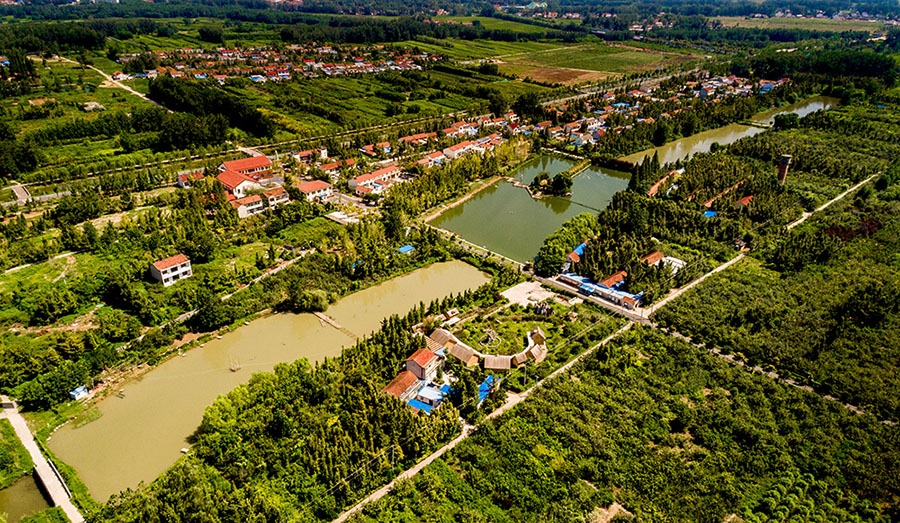 DJI_0012.jpg
