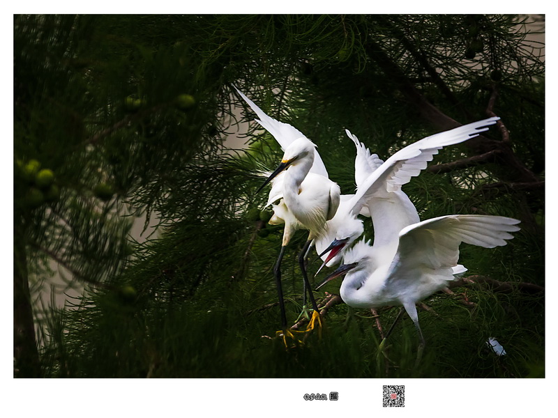 7D190703ɼ԰220-1.jpg