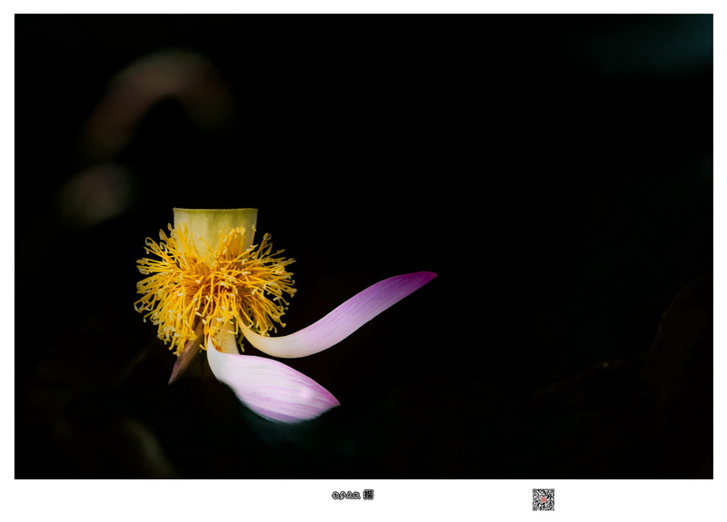 7D190628ԥɷ204-1.jpg