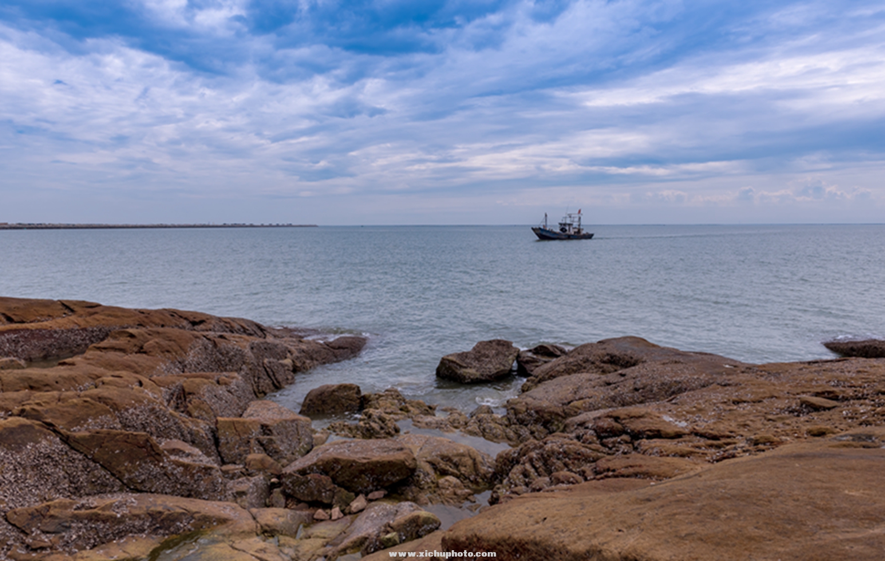 DSC_3379_.jpg
