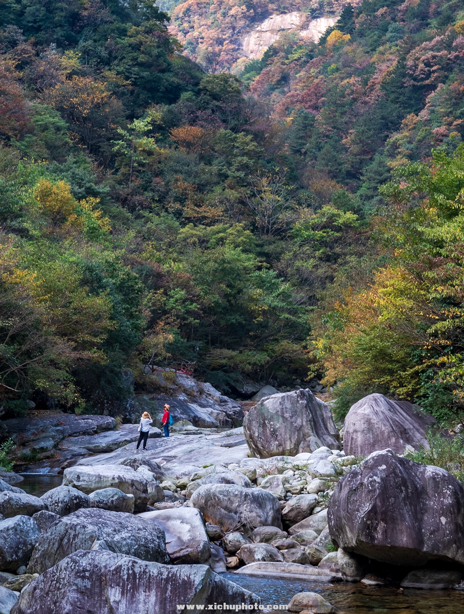 DSC_4288-2_.jpg