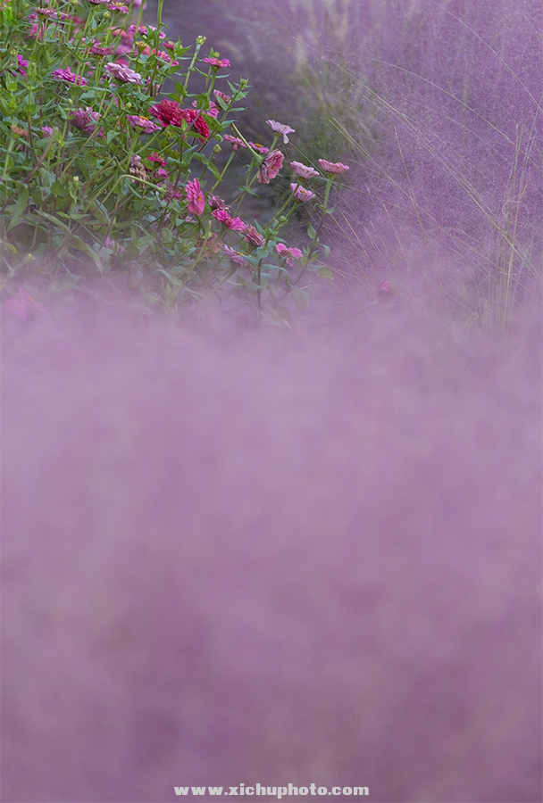 _78D8766-1.jpg