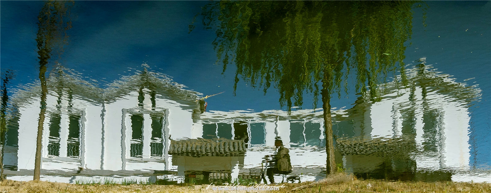 07.jpg