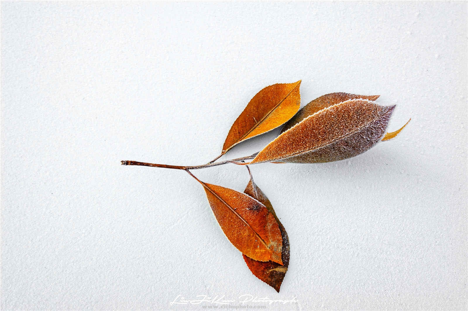 ˪ 01-01.jpg