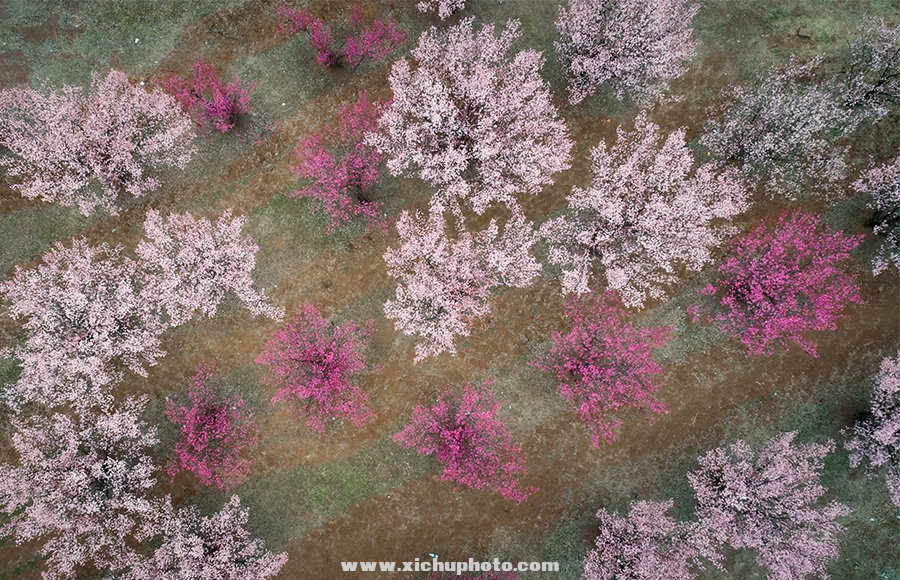 DJI_0031a.jpg