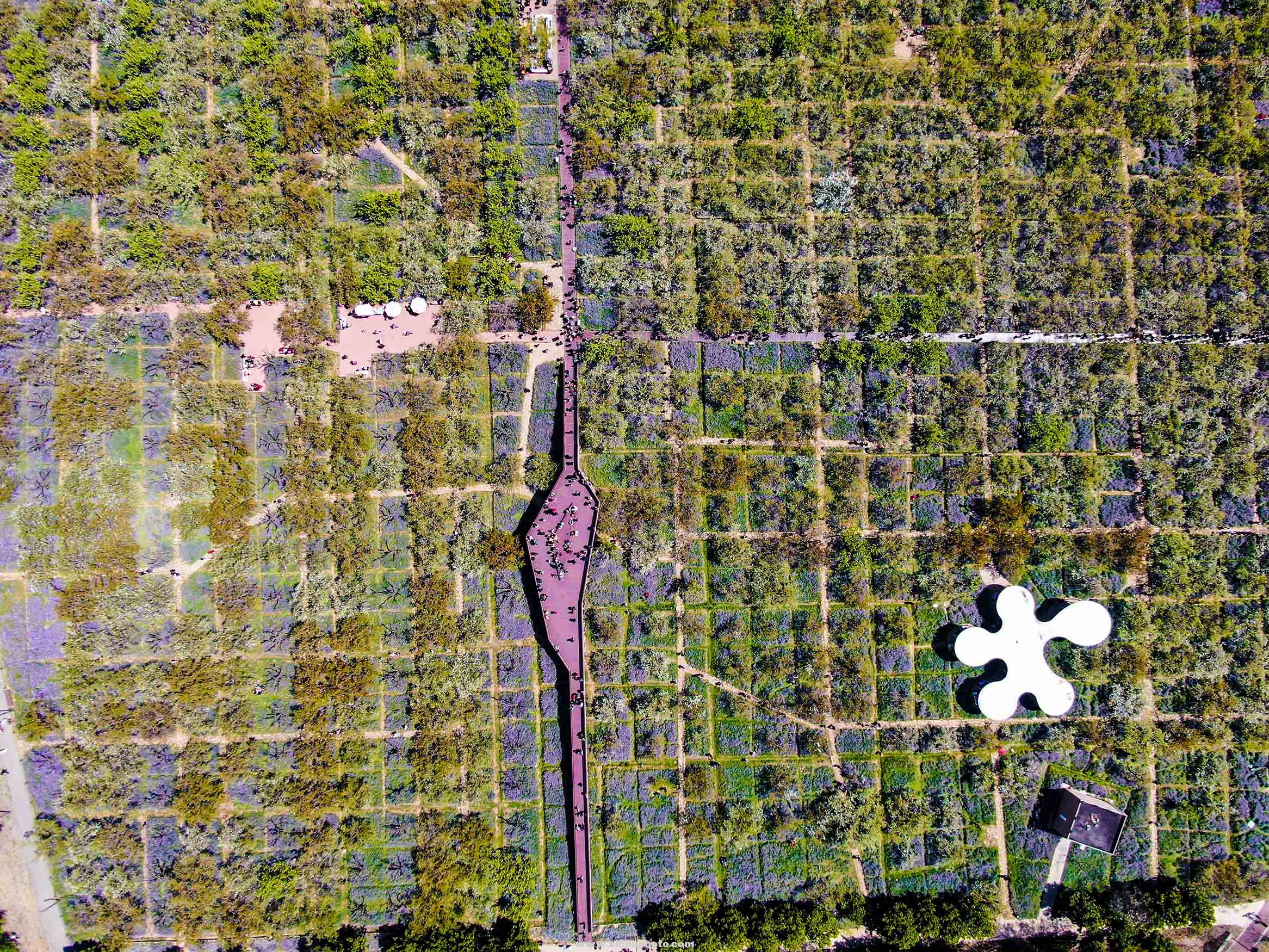 DJI_0374.jpg