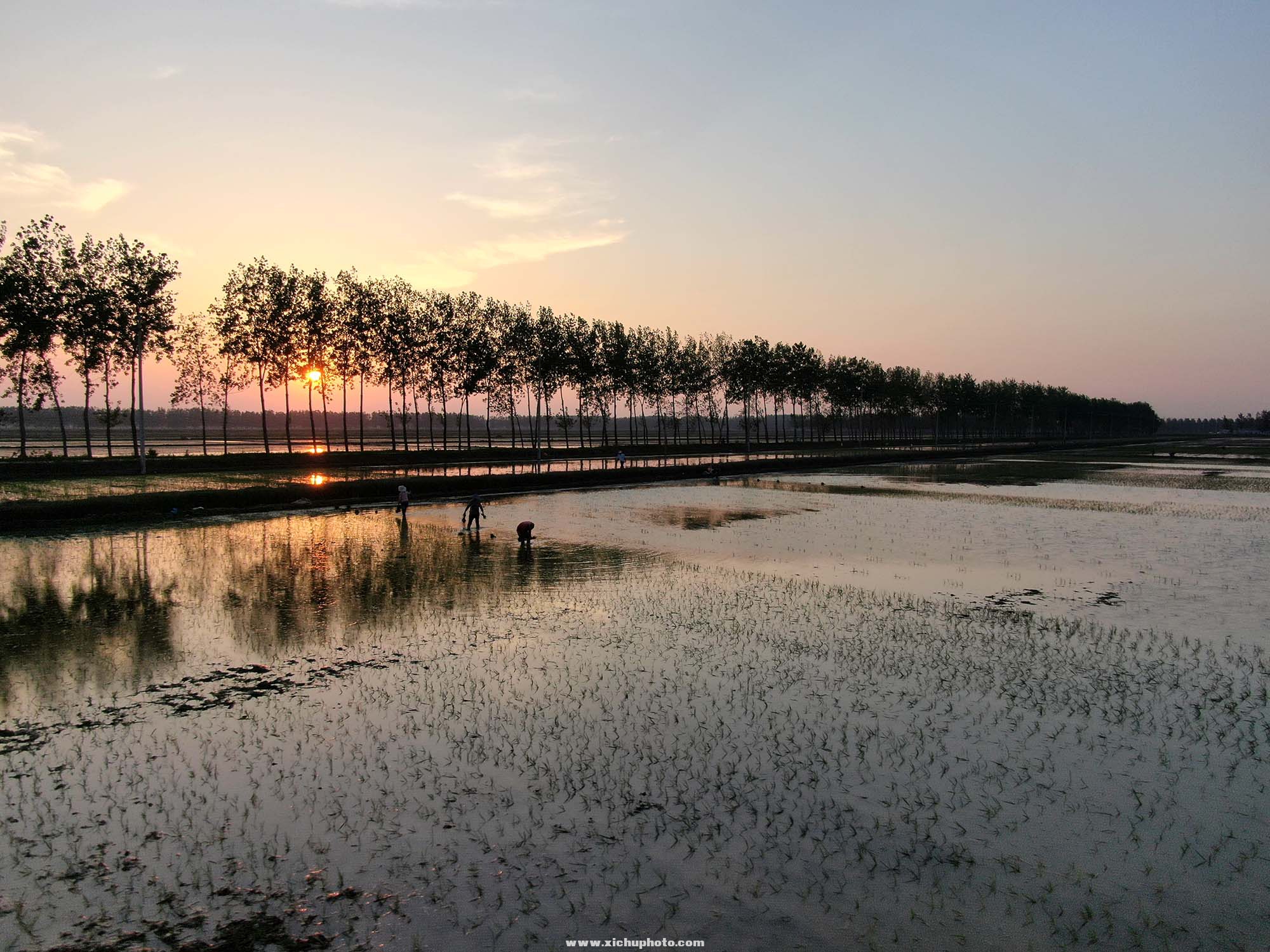 DJI_0408.jpg