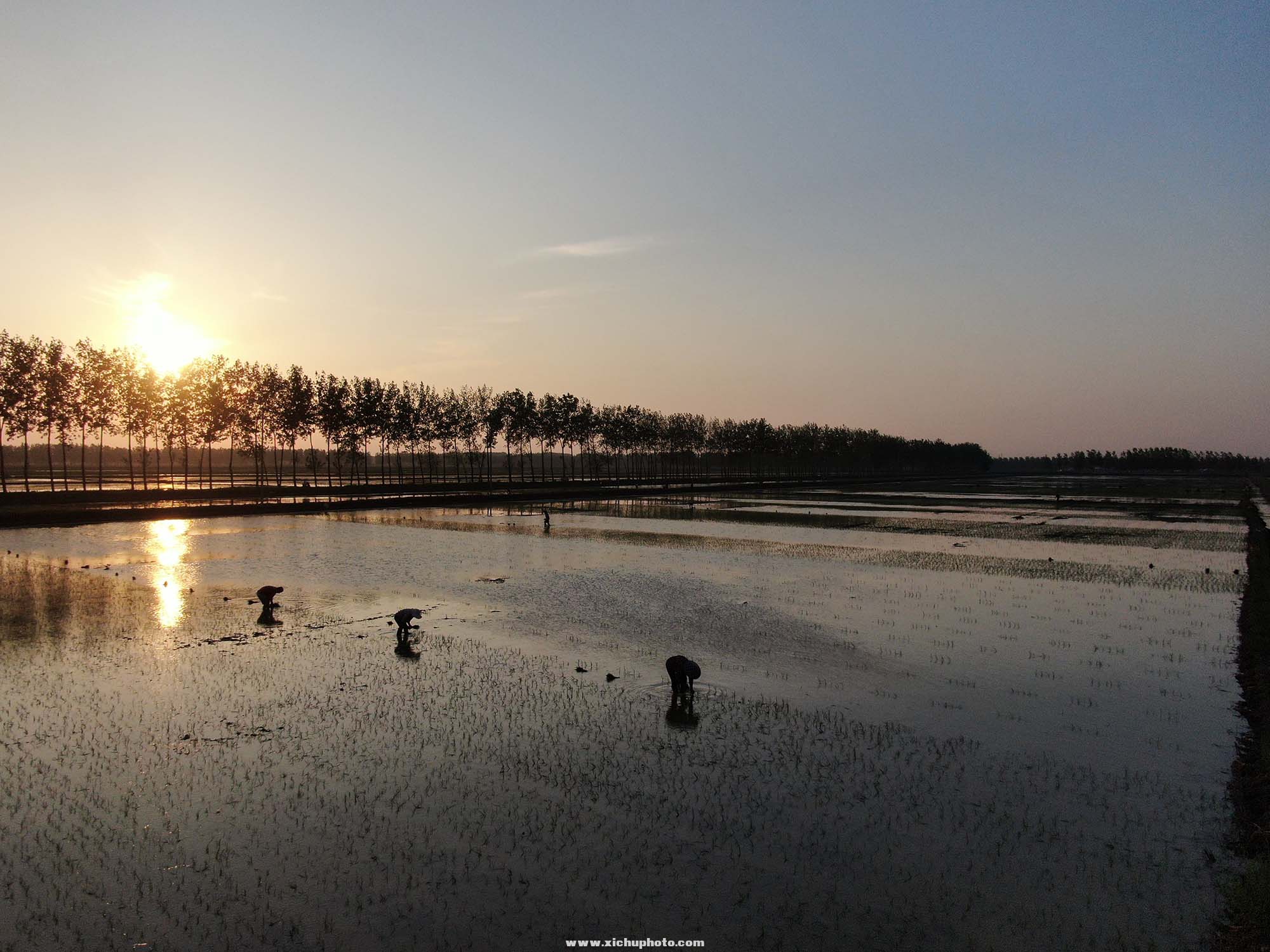 DJI_0397.jpg
