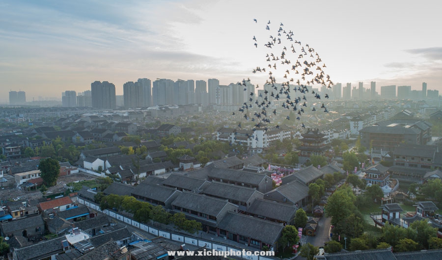DJI_0019-1_1.jpg