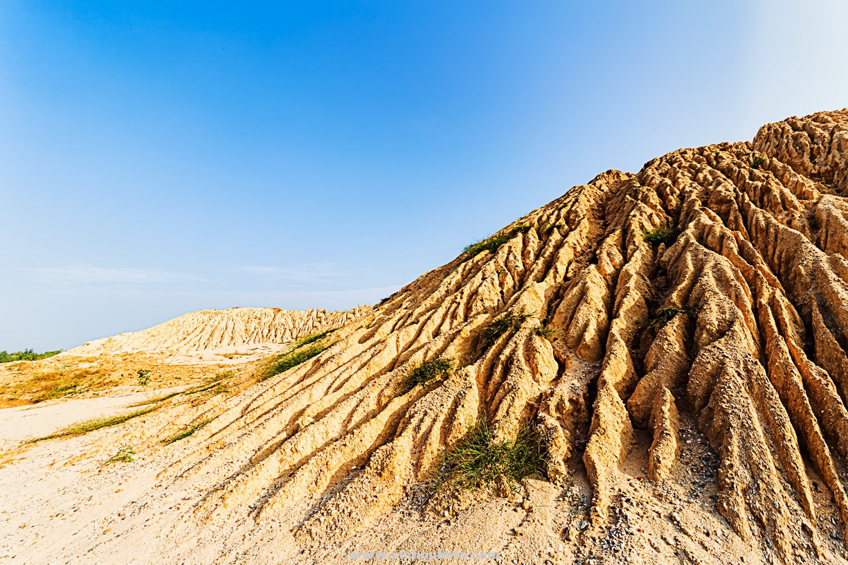 6D201001̲014-1.jpg