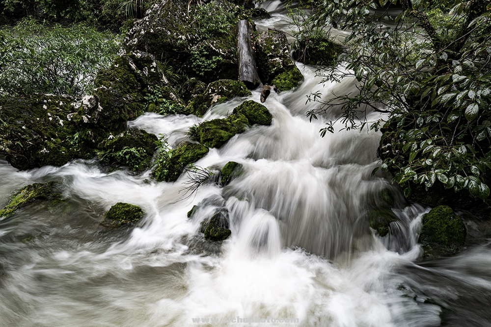 L1150761-1.jpg