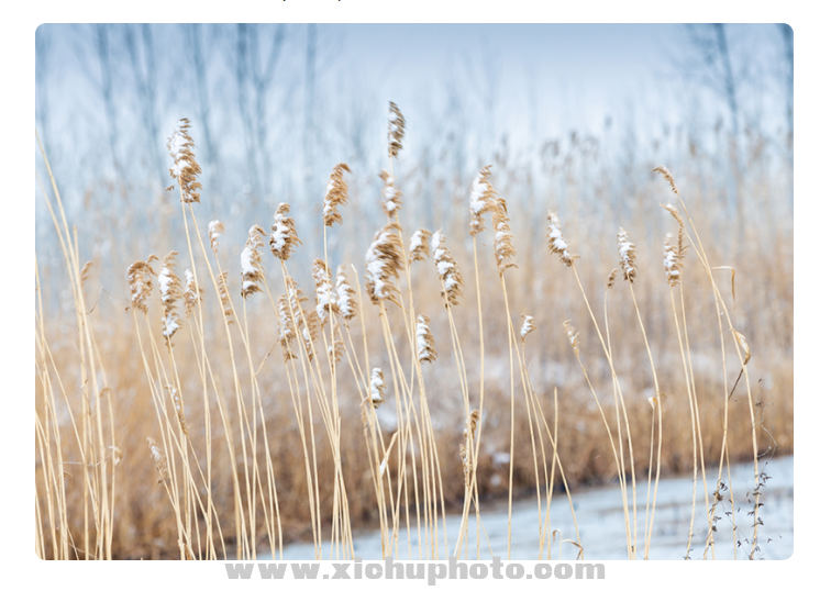 ΢ͼƬ_20201221090551.png