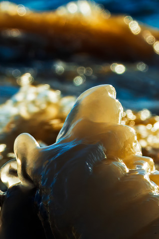 _201230D7005-1.jpg