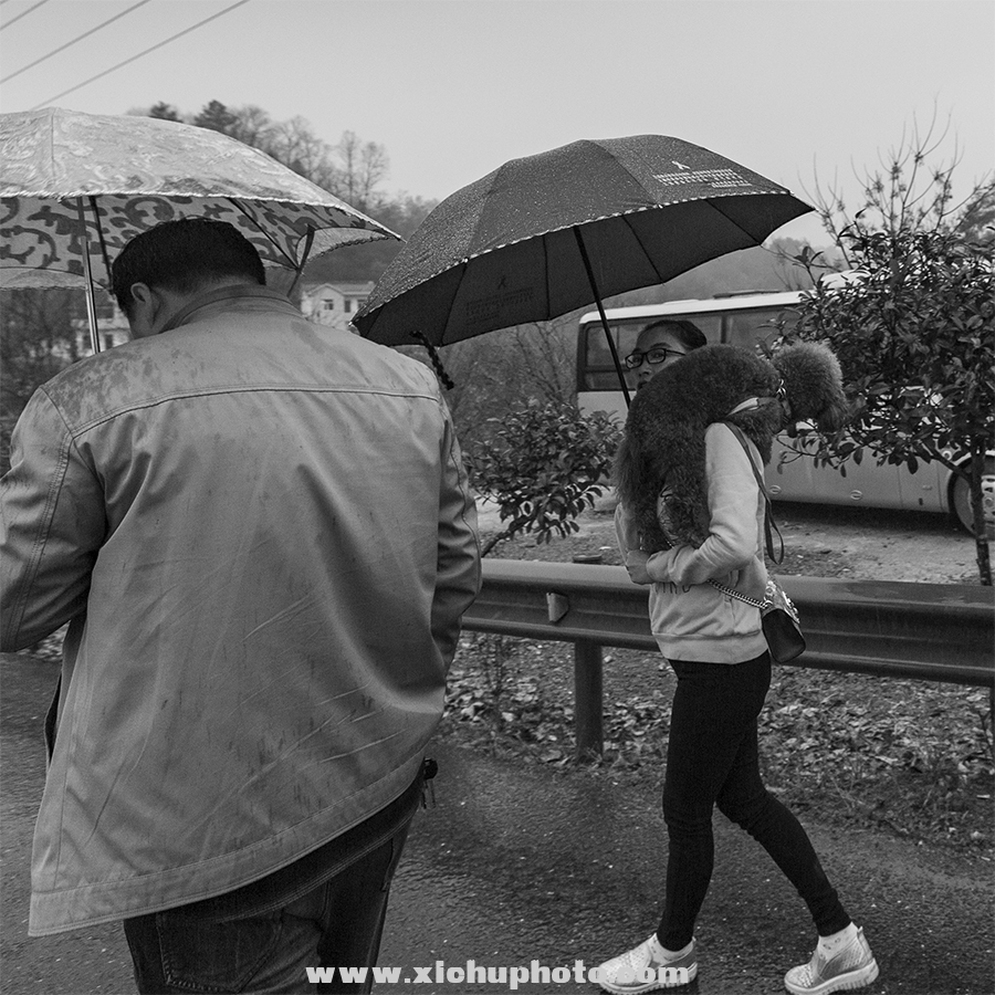 _78D3314-1.jpg