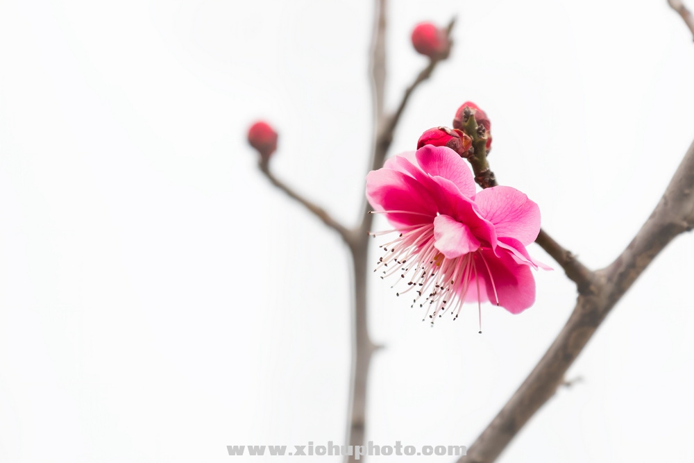 210213D7˫004.jpg
