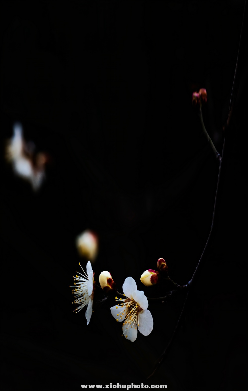 210206D7ؿ009.jpg