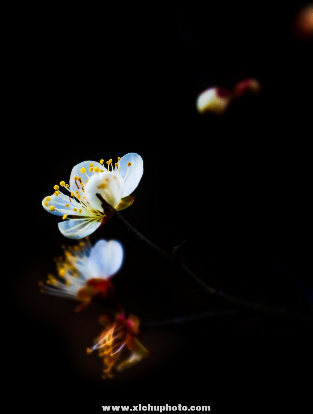 210207D7ؿ016.jpg