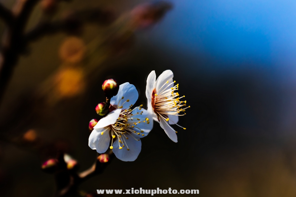 210207D7ؿ029.jpg