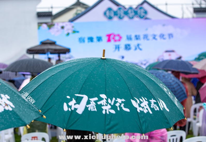 J78D4868-1.jpg