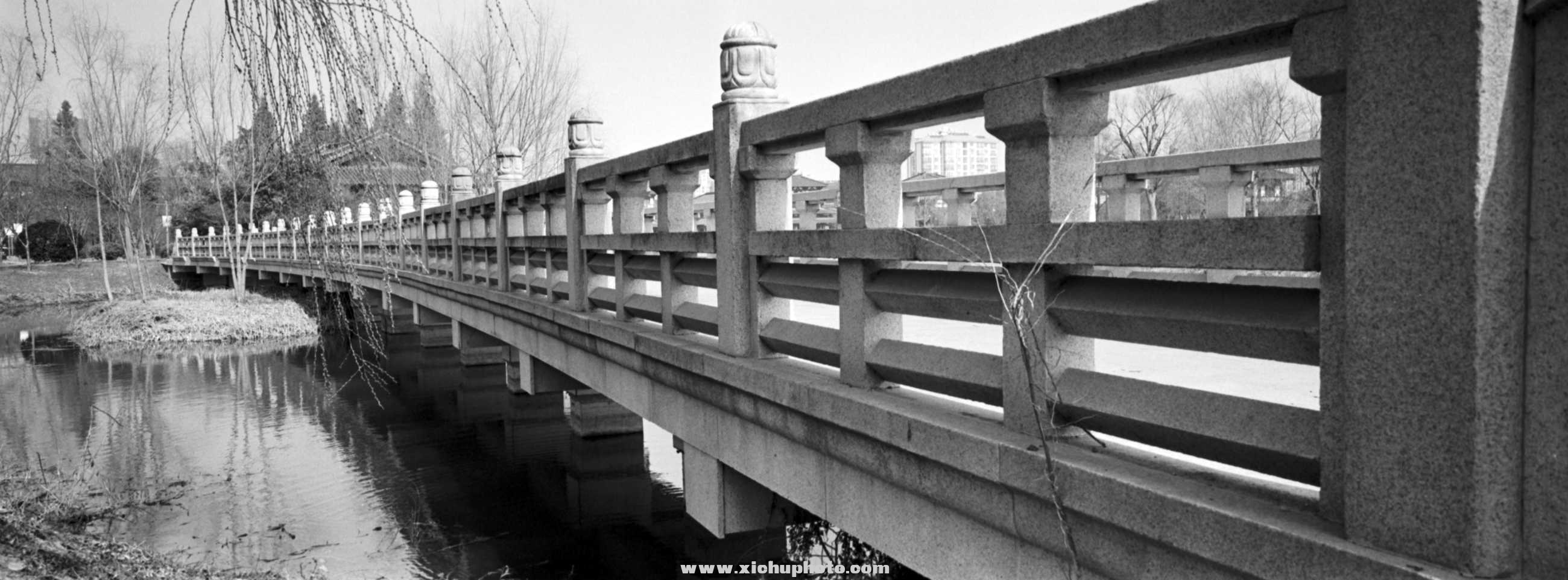 Image-2-(117).jpg