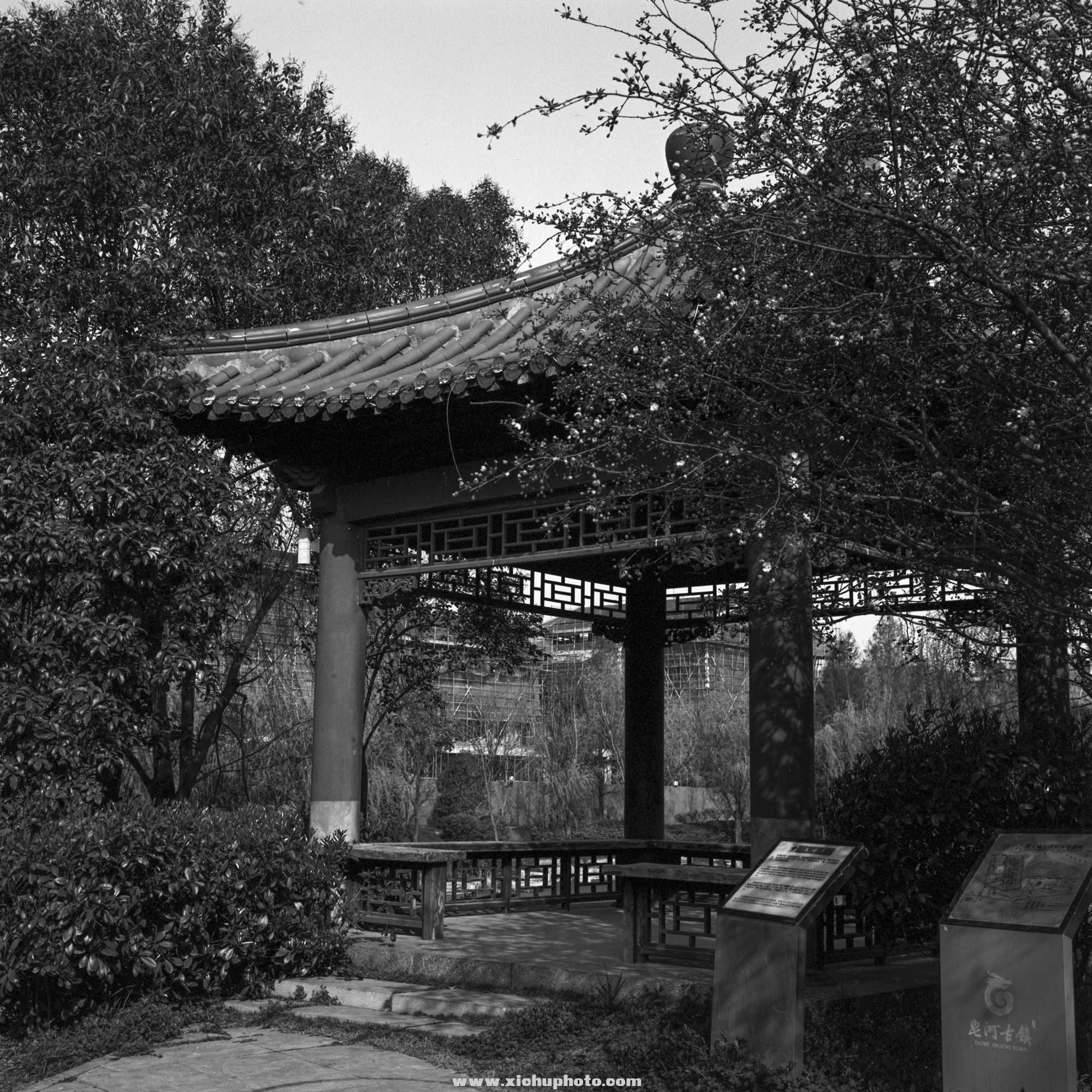 Image-2-(4).jpg