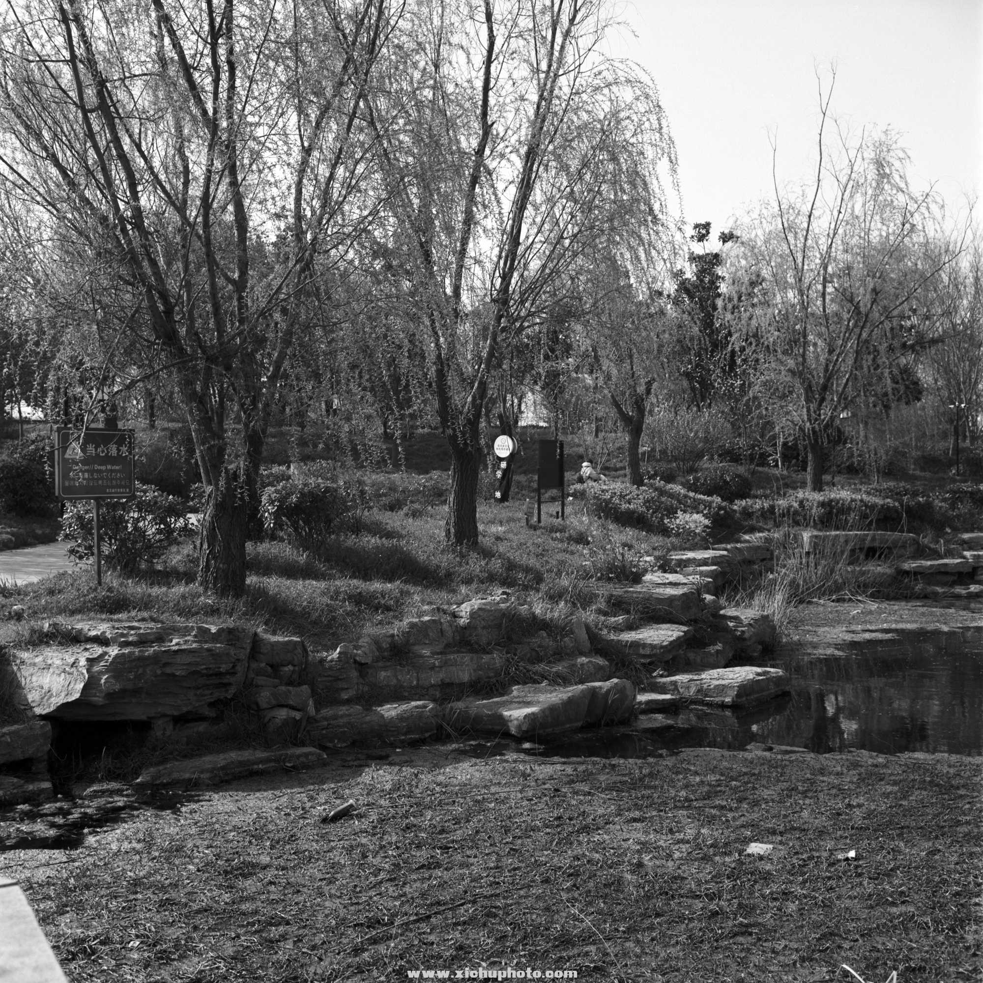 Image-2-(6).jpg