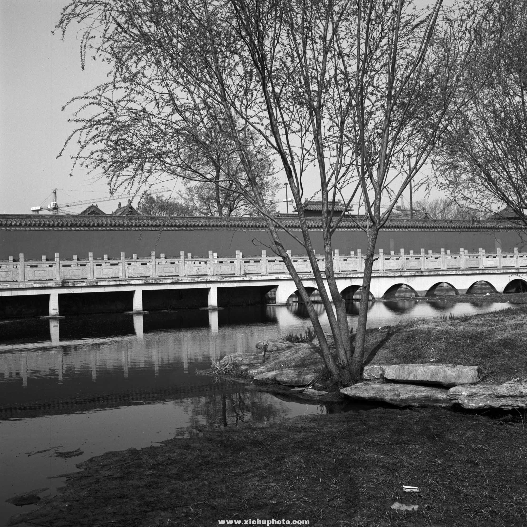Image-2-(7).jpg
