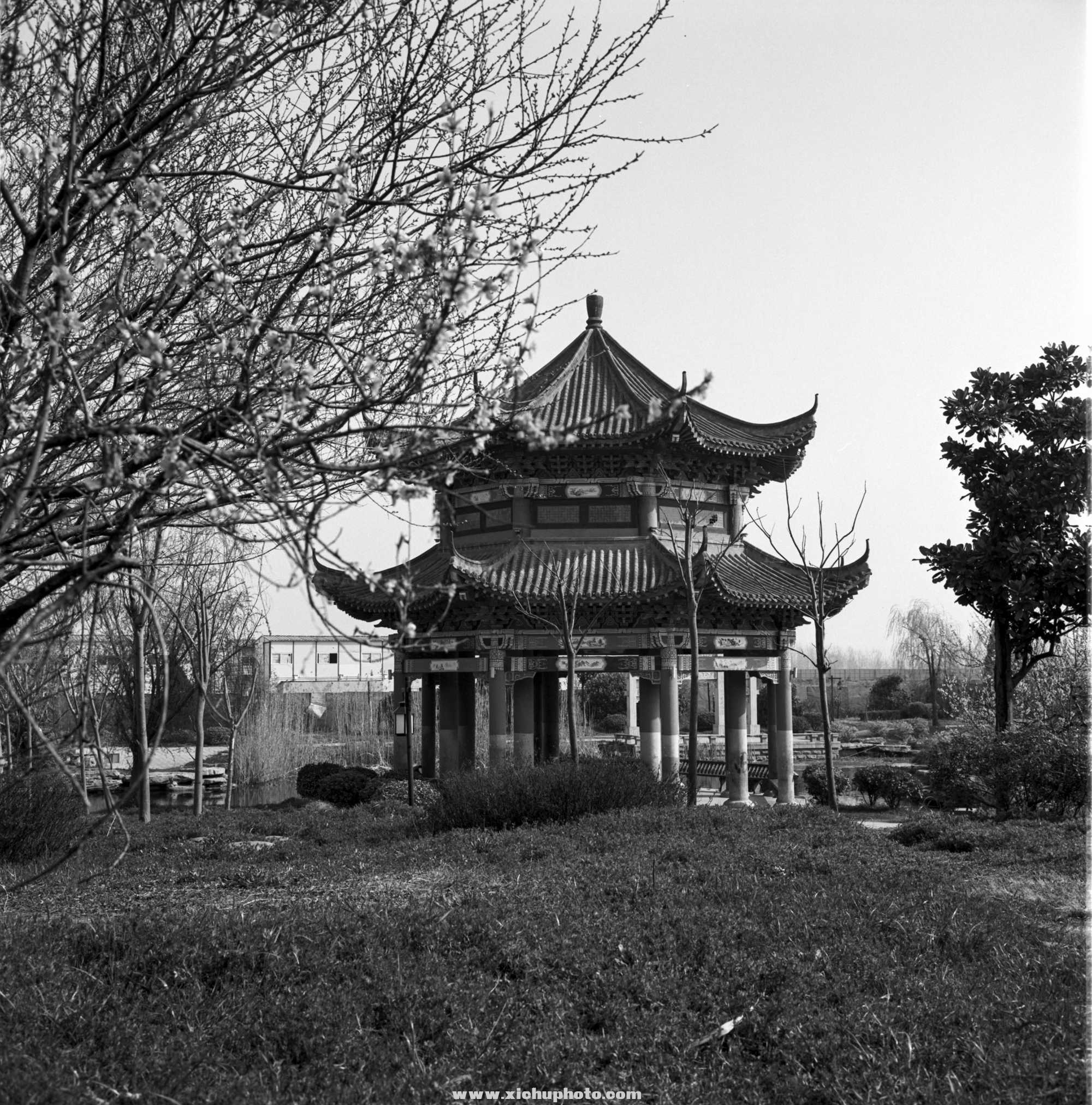 Image-2-(11).jpg