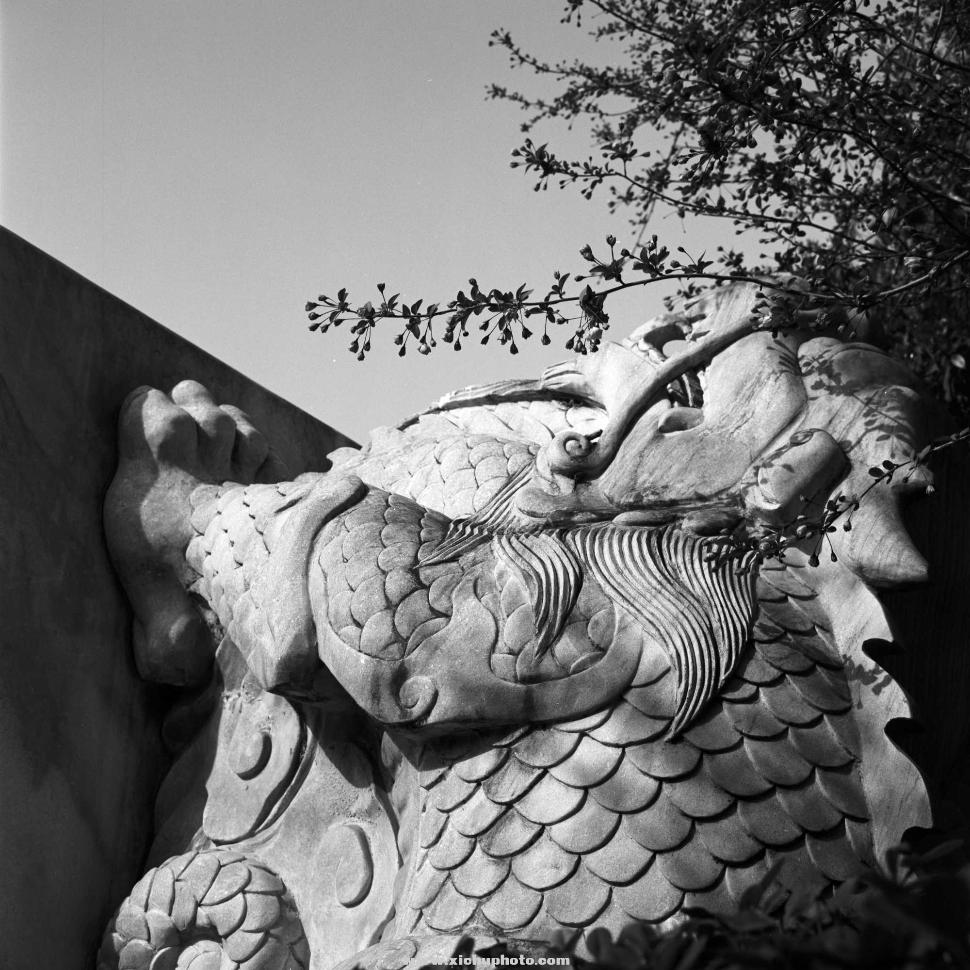 Image-2-(13).jpg