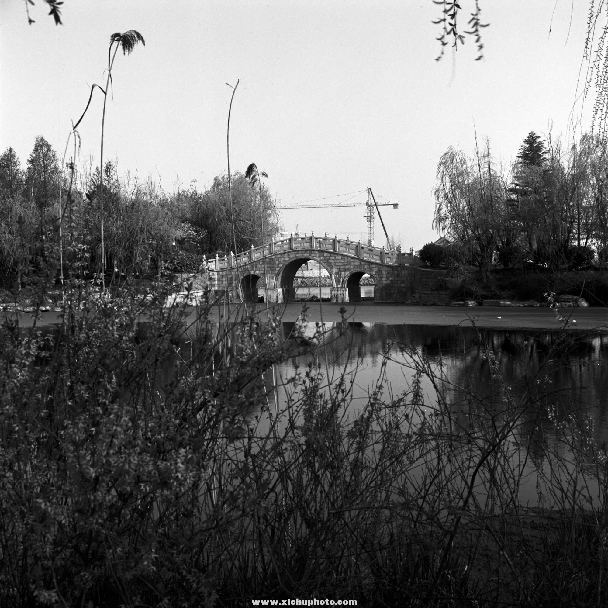 Image-2-(15).jpg