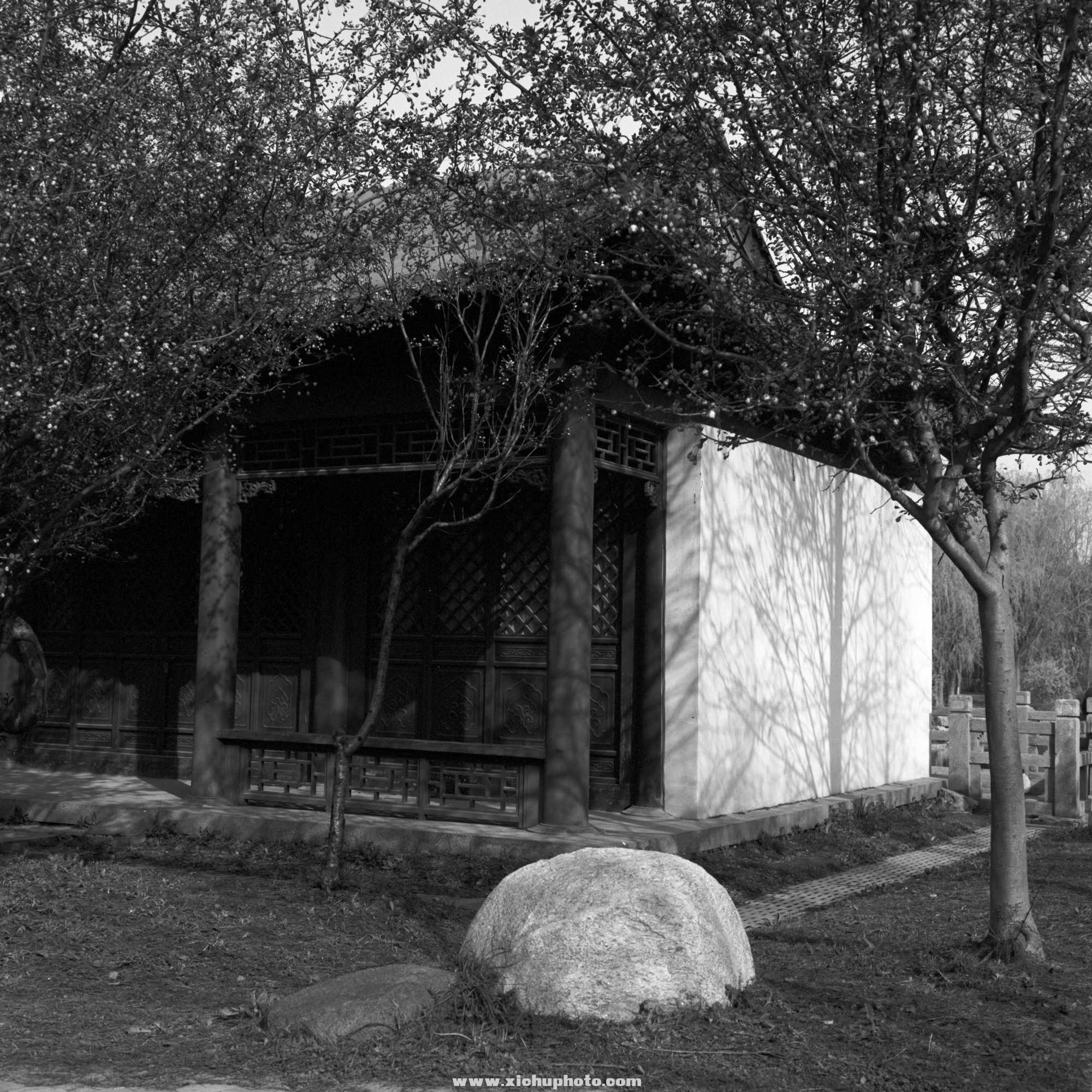 Image-2-(17).jpg