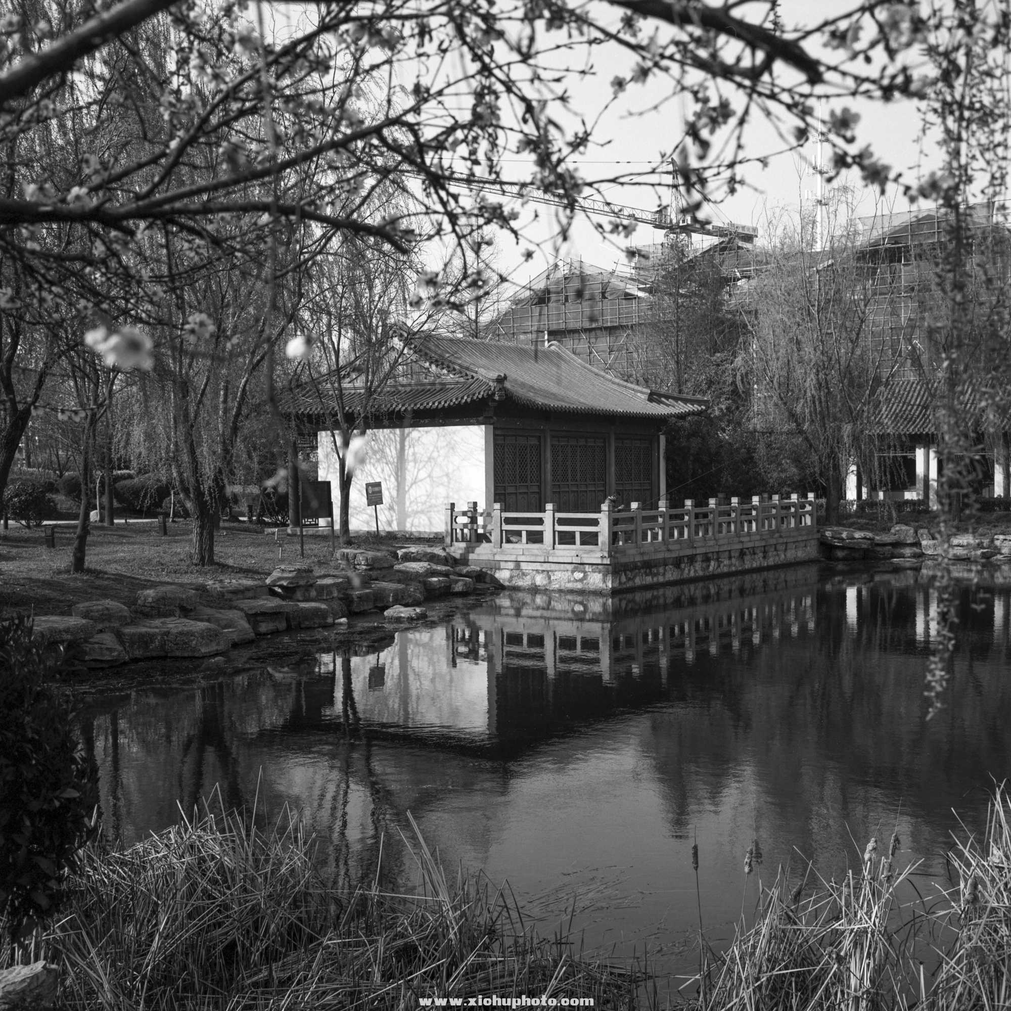 Image-2-(39).jpg