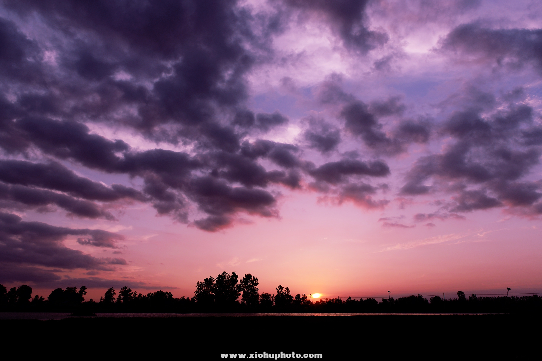 DSC_293100ih.jpg