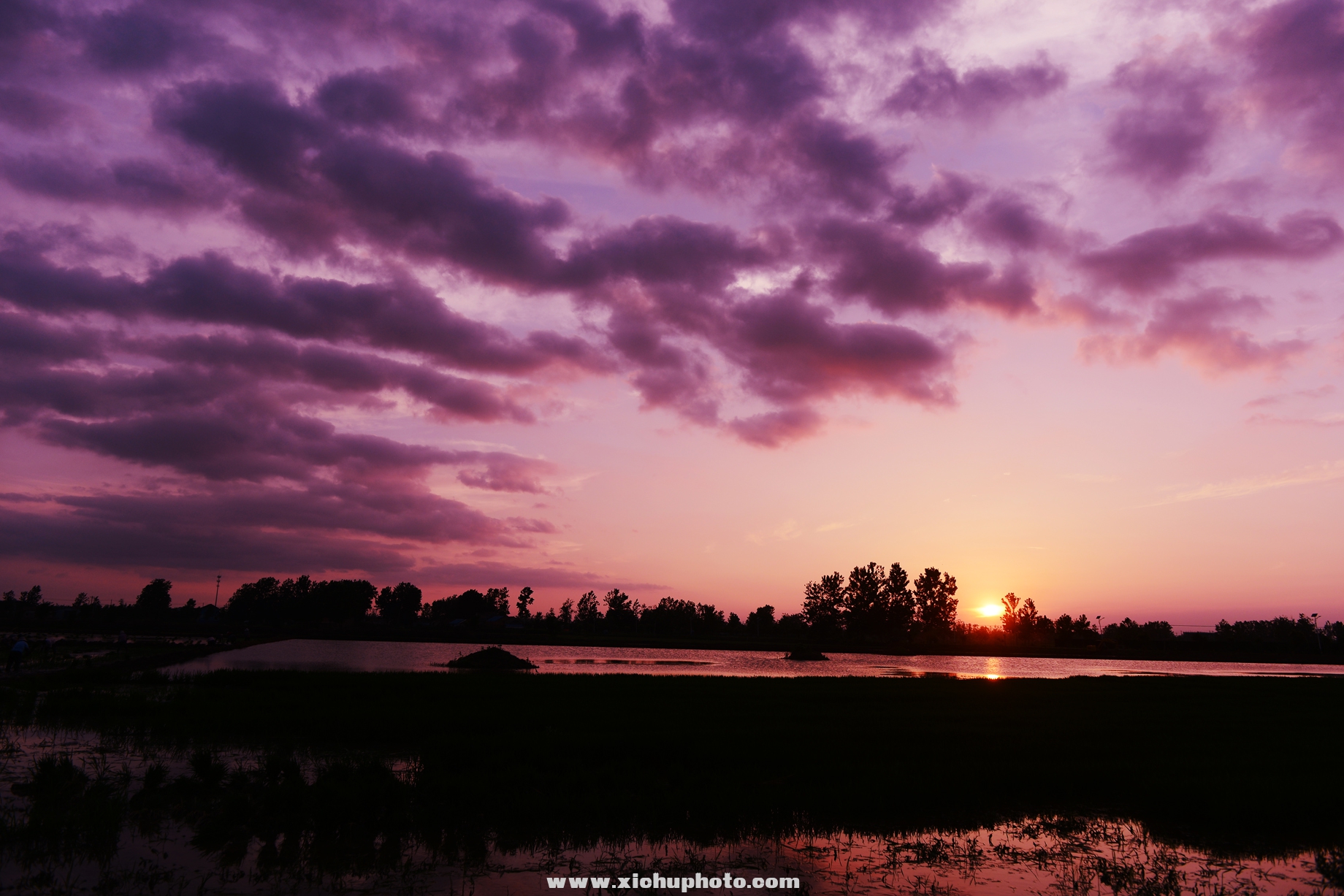 DSC_2930inh.jpg