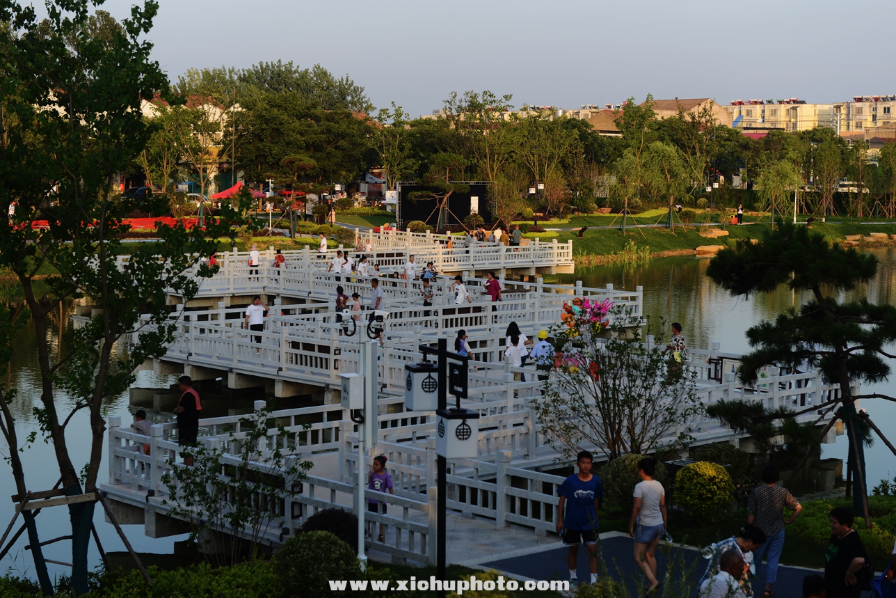 DSC_3454.jpg