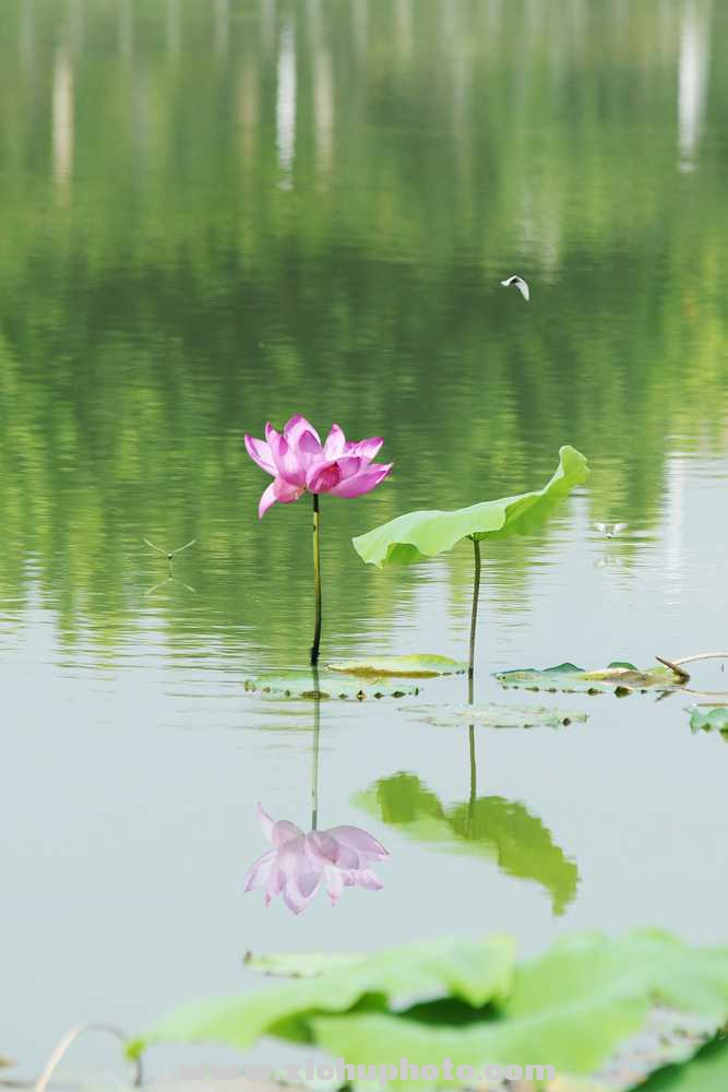 DSC_3890ih.jpg