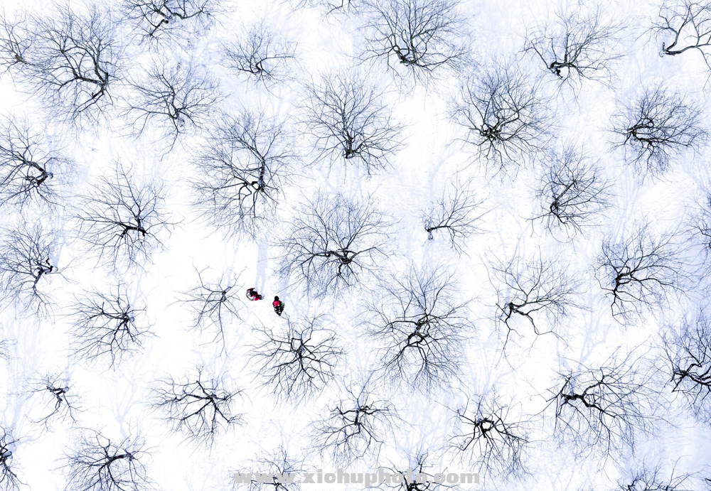 3333333311439_0006_.2D.jpg