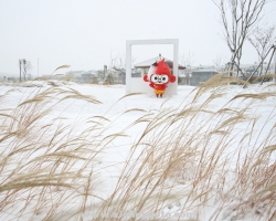 ѩǨ